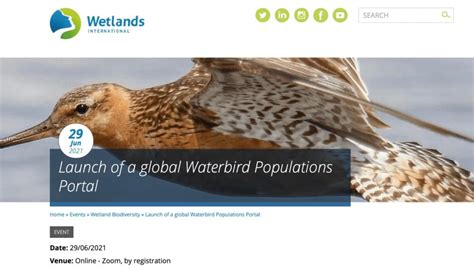 international waterfowl census iwc|wetlands waterbird census.